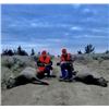 Image 2 : Cow Elk Hunt with High Lonesome Ranch