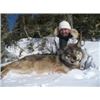 Image 1 : 6 night 5 day Wolf Hunt with KapRiver Outfitters in Kapuskasing, Ontario