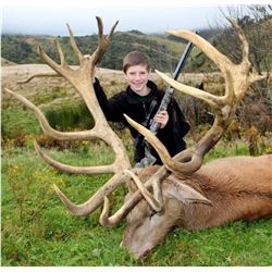 Red Deer Trophy hunt with Clarence Valley Trophy Hunting New Zealand