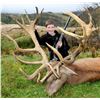 Image 1 : Red Deer Trophy hunt with Clarence Valley Trophy Hunting New Zealand