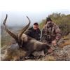 Image 1 : Valencia Expeditions Beceite Ibex Hunt