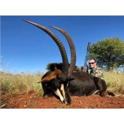 North West Province of South Africa Sable Hunt