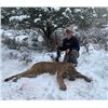Image 2 : Mountain Lion hunt