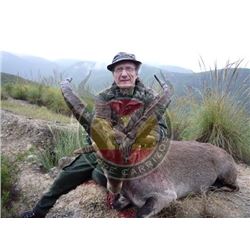 Giuseppe Carrizosa Spain http://www.giuseppecarrizosa.com/