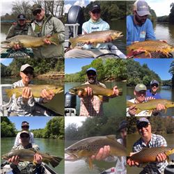 River Through Atlanta