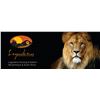 Image 1 : Legadema Safaris      safari@legadema.co.za