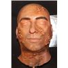 Image 2 : GODLESS SILICONE SMALL POX HEAD WITH MATCHING ARMS