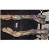 Image 2 : INDEPENDENCE DAY RESURGENCE SCREEN USED ALIEN HARVESTER QUEEN ANIMATRONIC LEGS
