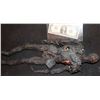 Image 1 : STARSHIP TROOPERS MARAUDER MINIATURE BURNT BODY 2