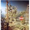 Image 2 : TERMINATOR 2 JUDGEMENT DAY SCREEN USED MINIATURE UTILITY POLE 2