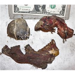 VIRUS LOT OF SCREEN USED GOLIATH SKULLS & GORE