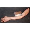 Image 2 : SILICONE SEVERED COMPLETE ARM MALE KEEPER QUALITY GORE!