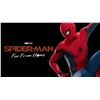Image 2 : SPIDER-MAN FAR FROM HOME CHEST GLYPH ON SUIT FABRIC DISTRESS TEST