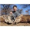 Image 4 : 8 day south africa 2 hunters hunting 2x1, 10x cull Impala and 2x cull Warthog to be shared
