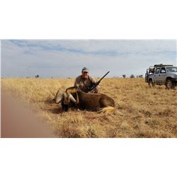 5 hunting days for two hunters plus arrival and departure days. Total of 7 days. Namibia hunting 2x1
