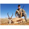 Image 1 : 2 hunters  hunting 2x2, 1x WHITE springbok and 1x BLACK springbok and 1x COMMON springbok - 1x Commo