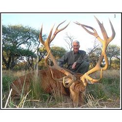 5 Day Argentina Red stag 2019or 2020