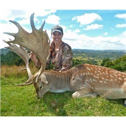 Trophy Red deer hunt  OR a Trophy Fallow deer hunt OR  a Trophy Mouflon sheep hunt  (hunter´s choice