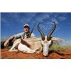 Image 1 : 12 days south africa for 2 hunters sharing 10 trophy animals, 2 Black wildebeest 2 blue wildebeest 2
