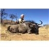 Image 3 : 12 days south africa for 2 hunters sharing 10 trophy animals, 2 Black wildebeest 2 blue wildebeest 2