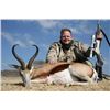 Image 4 : 12 days south africa for 2 hunters sharing 10 trophy animals, 2 Black wildebeest 2 blue wildebeest 2