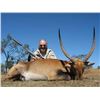Image 3 : 5 day 1 hunter 1 observer, south africa safari includes trophy fees for one impala, 1 blesbuck, 1 bl