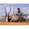 Image 4 : 5 day 1 hunter 1 observer, south africa safari includes trophy fees for one impala, 1 blesbuck, 1 bl