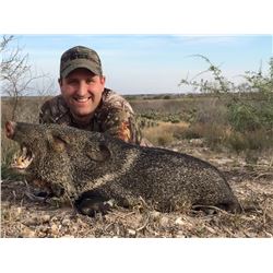 2 day Texas Javelina hunt for 2 Hunters