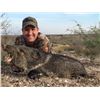 Image 1 : 2 day Texas Javelina hunt for 2 Hunters