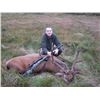 Image 4 : 3 night 3 day for 1 Wild Free Range Scottish Red Deer. Location , Argyle Scotland  Methods , Spot an