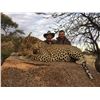 Image 1 : 12 day leopard hunt in Namibia