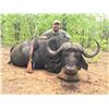 Image 1 : 7 Day Zambia hunt for 1 hunter Buffalo, Hippo, Crocodile & plains game  Safari  Hunt takes place in