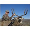 Image 2 : Nov 21-25 2019 (Prime Rut Days!!!!)  5 day montana mule deer hunt  Includes meals, guides