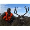 Image 3 : Nov 21-25 2019 (Prime Rut Days!!!!)  5 day montana mule deer hunt  Includes meals, guides