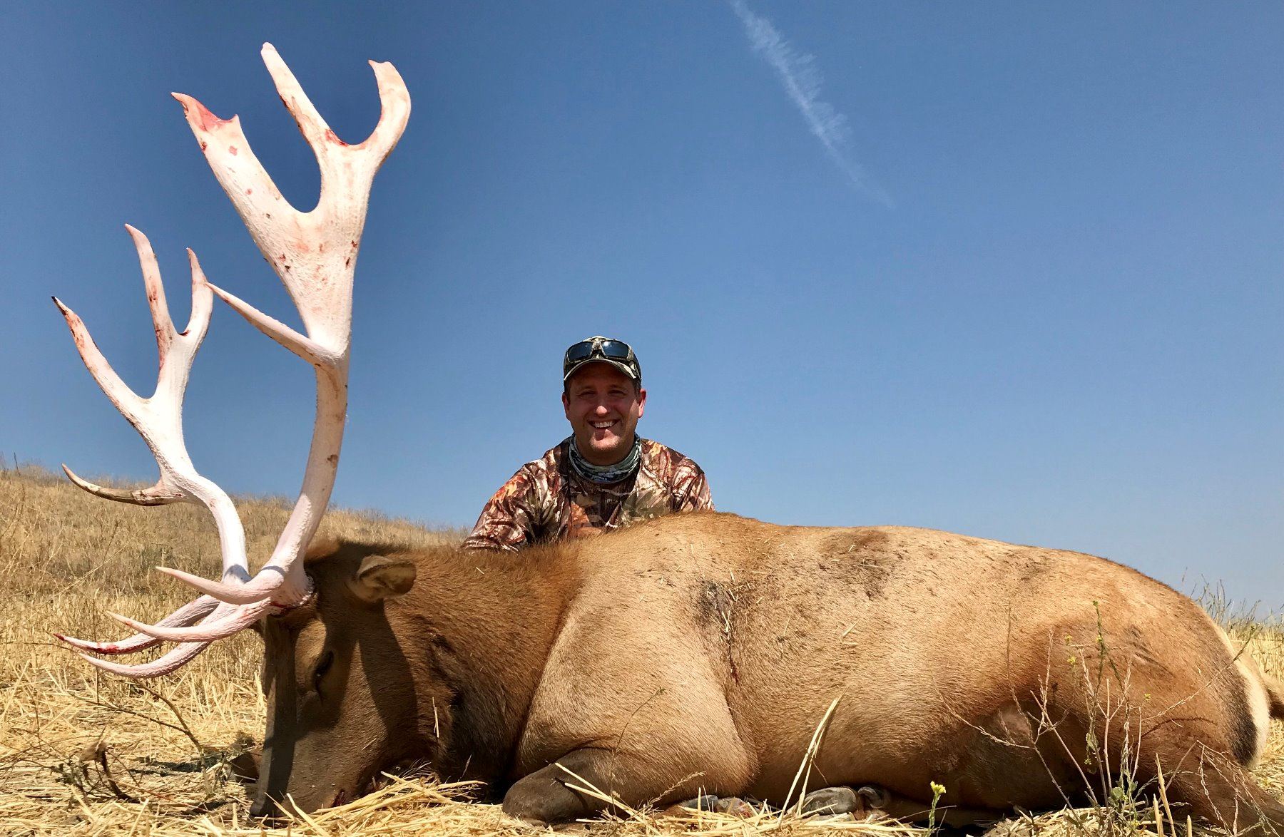 7 day California Trophy Tule Elk Hunt for 1 hunter (duplicate donations)