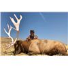 Image 1 : 7 day California Trophy Tule Elk Hunt for 1 hunter (duplicate donations)
