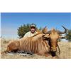 Image 3 : 7 day south africa 1 hunter 1 observer for hunters choic of either 42+ inch sable, golden wildebeast