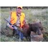 Image 2 : 2020 5 day elk and black bear combo in colorado, can be a archery or rifle hunt