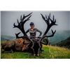 Image 1 : 4 day new zealand red stag hunt for stag up to 340