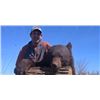 Image 3 : 5 day spring or fall canadian black bear hunt, meals and lodging not included