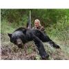 Image 4 : 5 day spring or fall canadian black bear hunt, meals and lodging not included