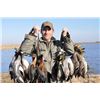 Image 1 : Argentina Duck, Dove, Perdiz for 2 hunters  for 4 days