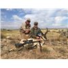 Image 2 : 3 day New Mexico private land antelope hunt