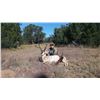 Image 3 : 3 day New Mexico private land antelope hunt