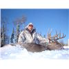 Image 2 : 5 day Alberta Whitetail deer hunt, includes meals, lodging add wolf trophy fee of $750, average 150+