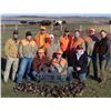 Image 3 : 2 Day South Dakota All-Inclusive Pheasant Hunt for Four Hunters, includes 20 pheasants, melas, lodgi