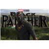 Image 2 : AVENGERS ENDGAME BLACK PANTHER 2 NEW SUIT FULL CHEST OR BACK PANEL