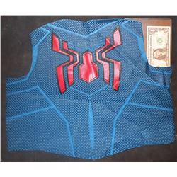 SPIDER-MAN FAR FROM HOME COMPLETE BACK PANEL WITH GLYPH 1