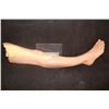 Image 2 : SILICONE SEVERED LEG WITH UNFINISHED WOUNDS