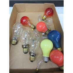 Flat of Assorted Bulbs / NO SHIPPING